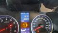 Lazy Owl Image