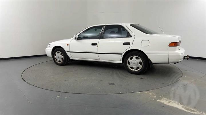 Lazy Owl Image
