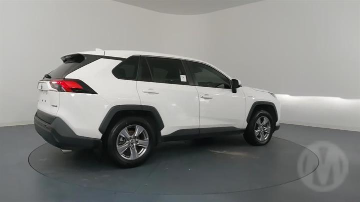Lazy Owl Image
