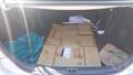 Lazy Owl Image