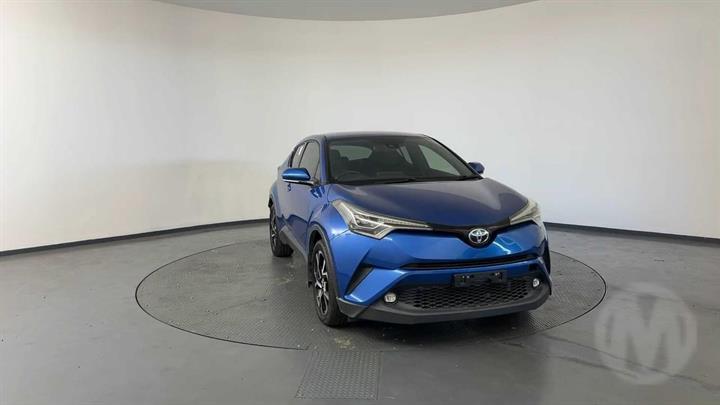 Lazy Owl Image