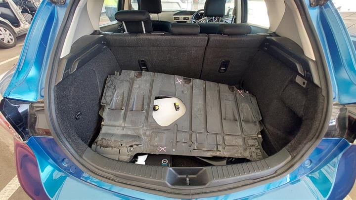 Lazy Owl Image