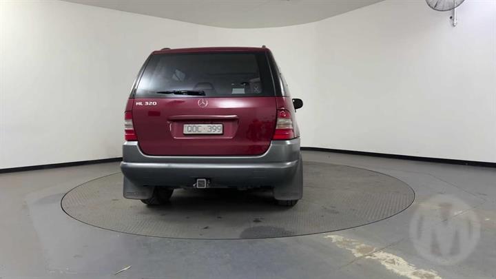 Lazy Owl Image