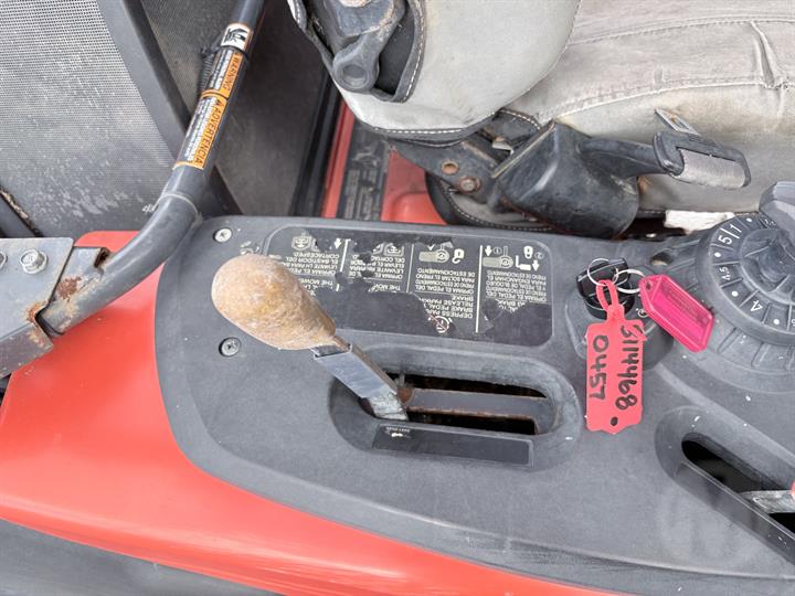 Lazy Owl Image