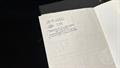 Lazy Owl Image