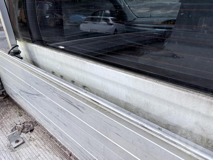 Lazy Owl Image