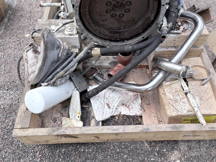 Lazy Owl Image