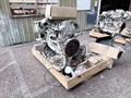 Lazy Owl Image