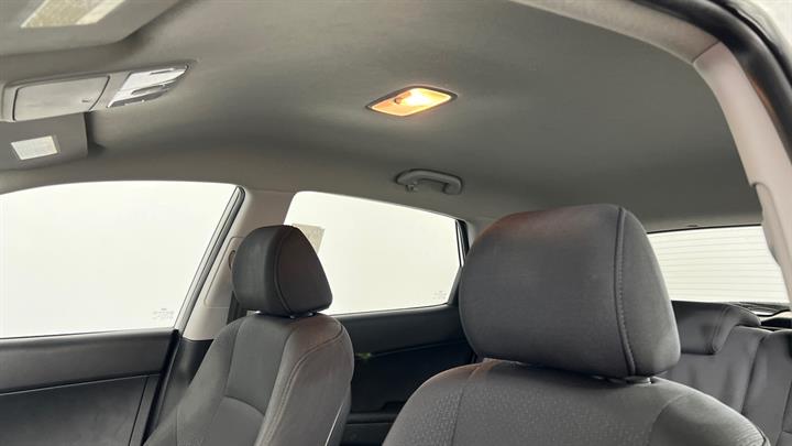 Lazy Owl Image