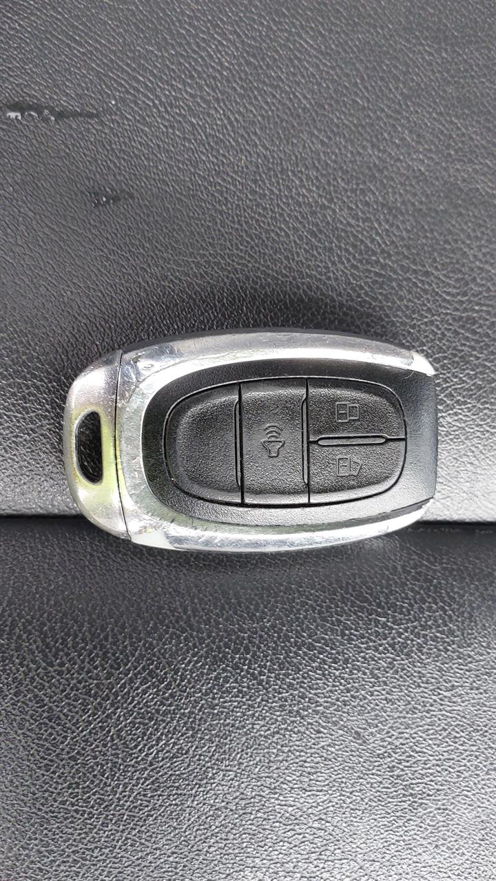 Lazy Owl Image