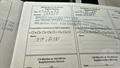 Lazy Owl Image