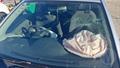 Lazy Owl Image