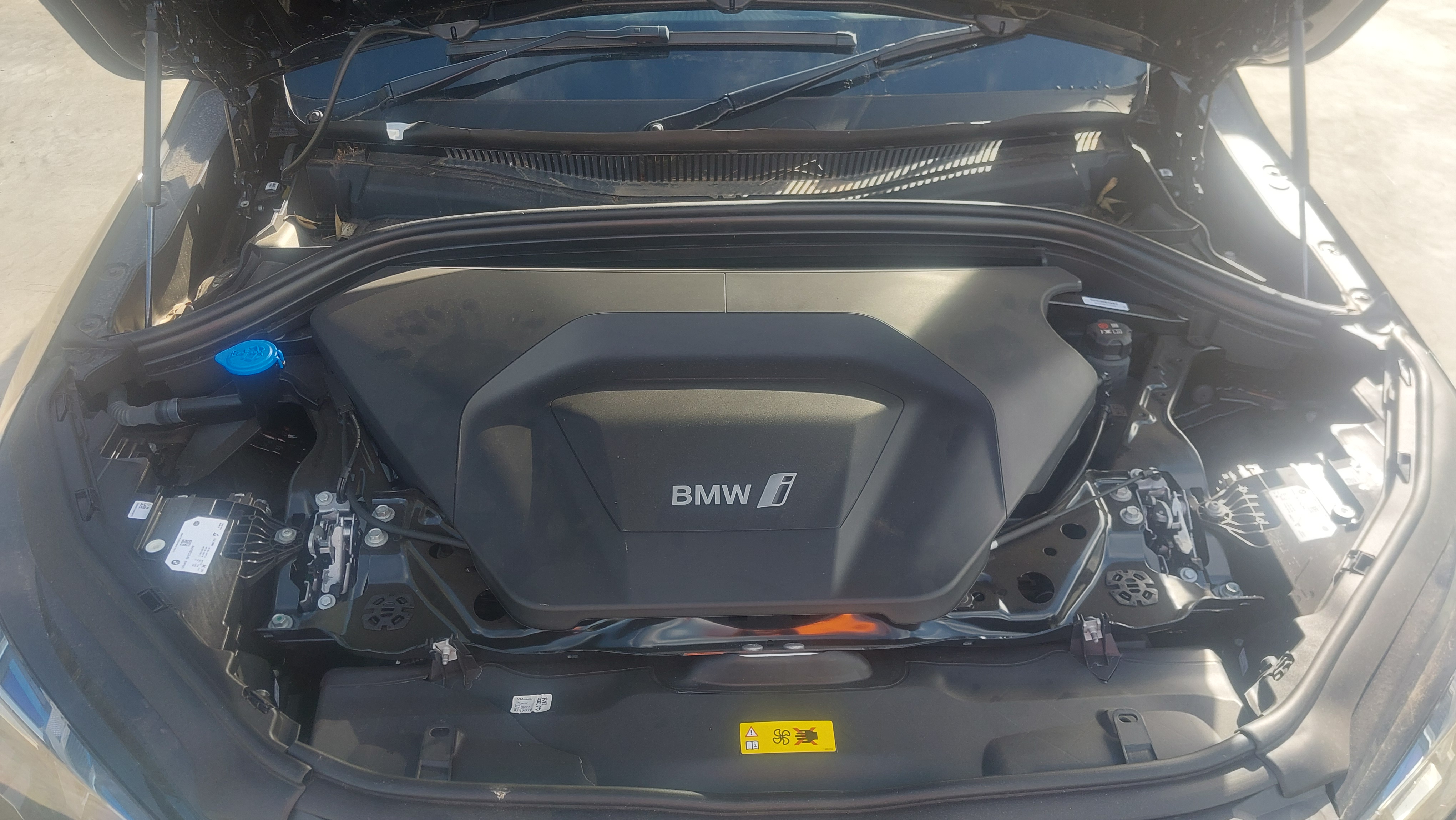 Lazy Owl Image