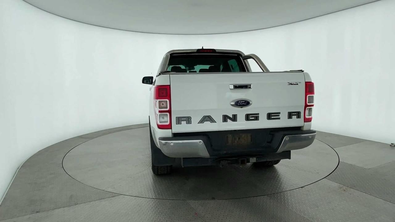 Lazy Owl Image