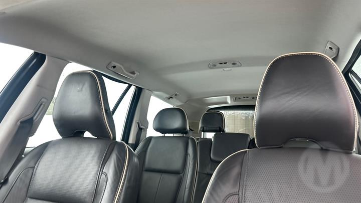 Lazy Owl Image