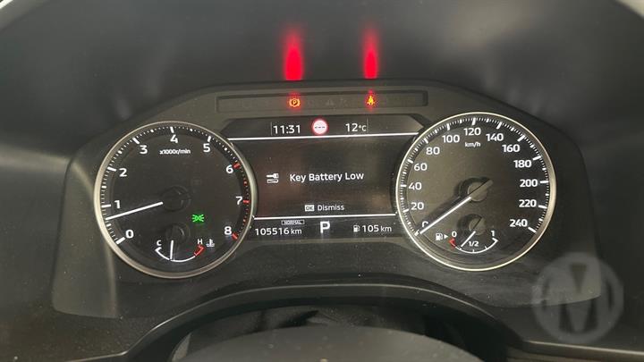 Lazy Owl Image