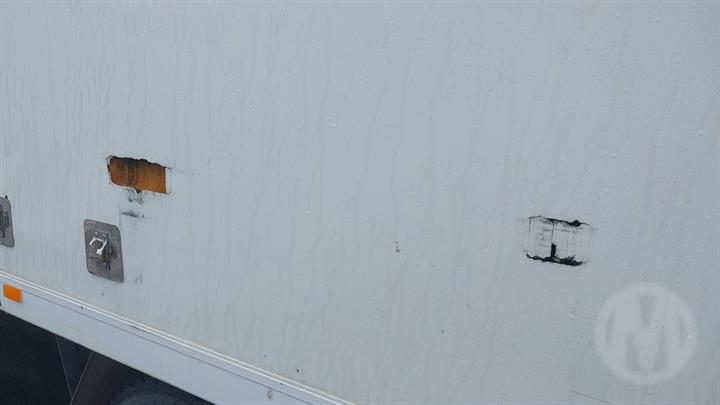 Lazy Owl Image