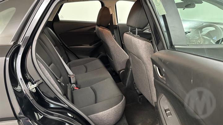 Lazy Owl Image