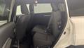 Lazy Owl Image