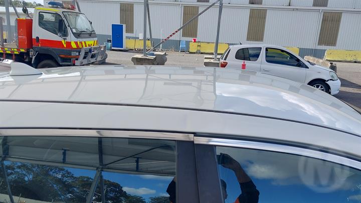 Lazy Owl Image