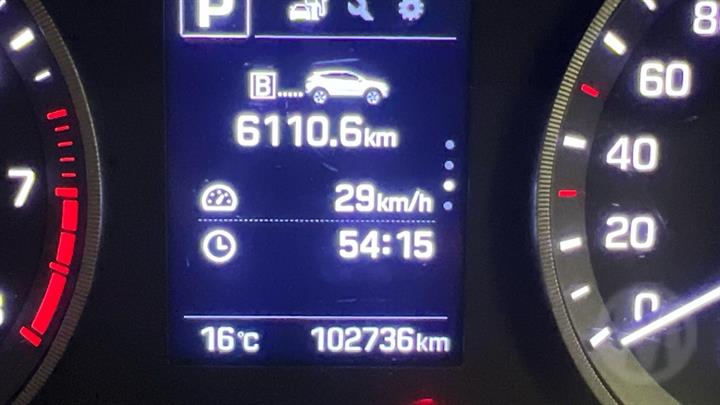 Lazy Owl Image