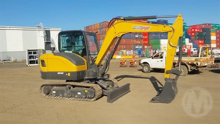 Lazy Owl Image