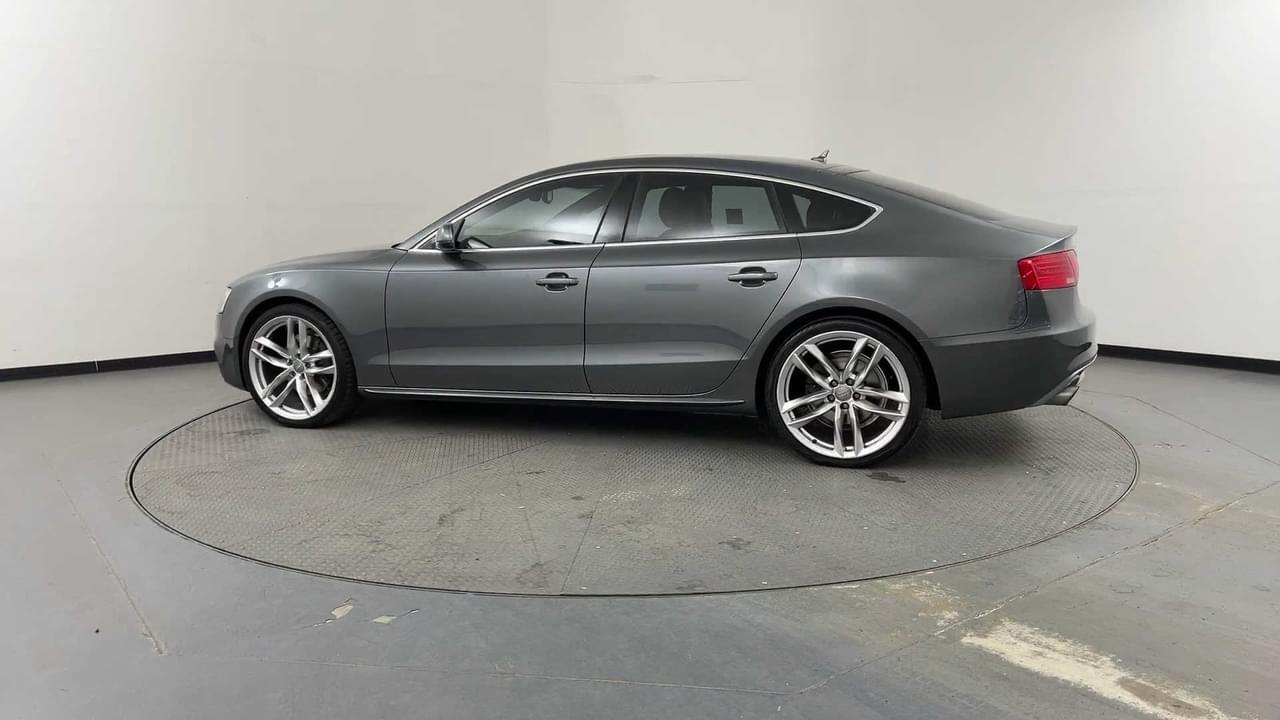 Lazy Owl Image
