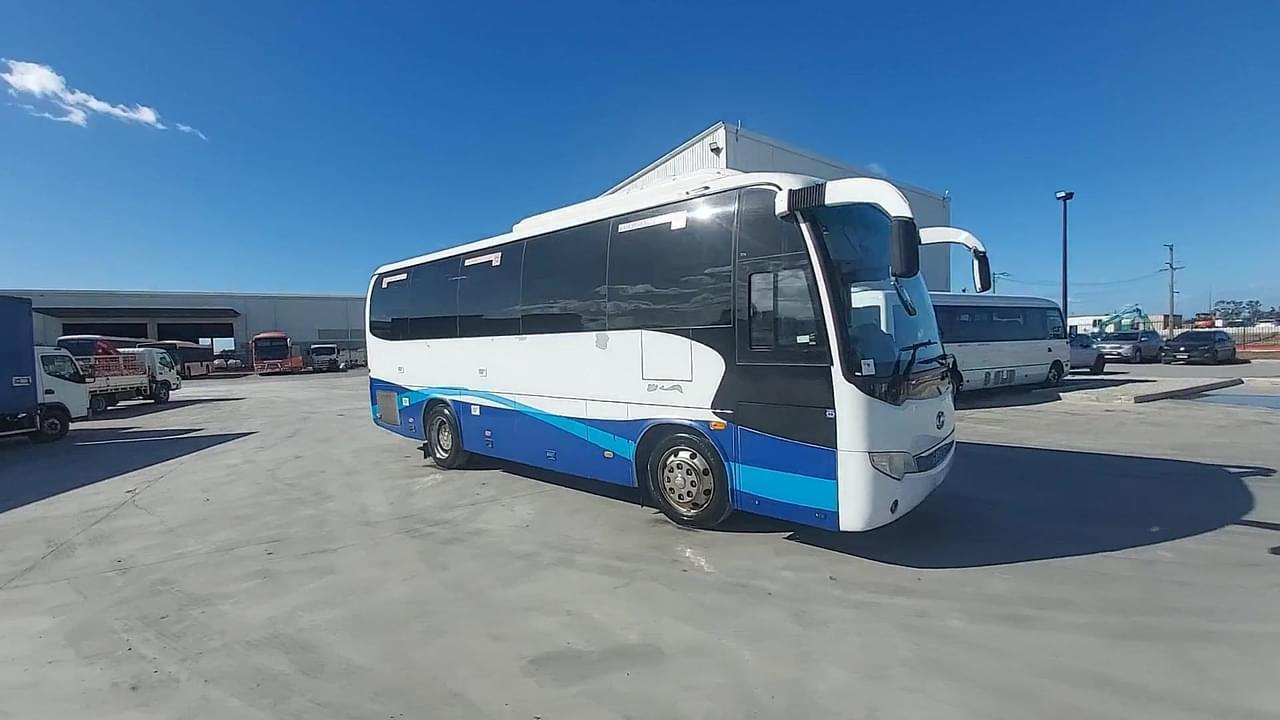 Lazy Owl Image