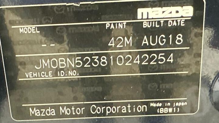 Lazy Owl Image