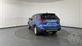 Lazy Owl Image