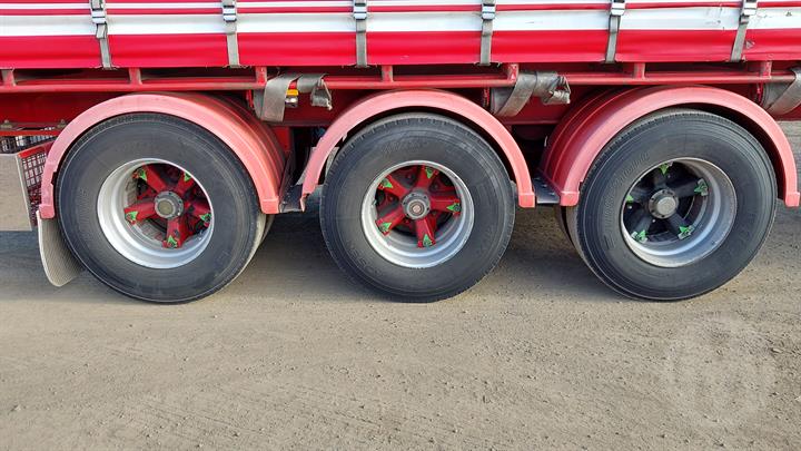 Lazy Owl Image