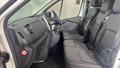 Lazy Owl Image