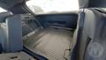 Lazy Owl Image
