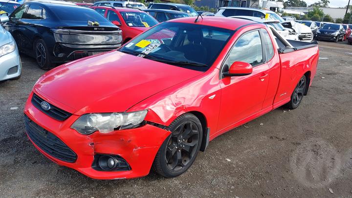 Lazy Owl Image