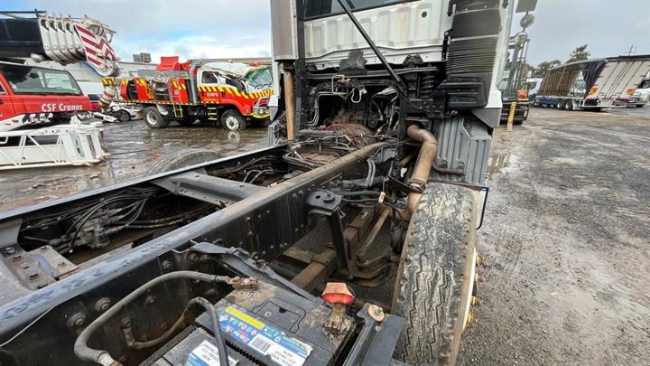 Lazy Owl Image