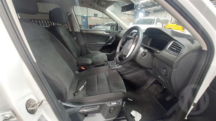 Lazy Owl Image