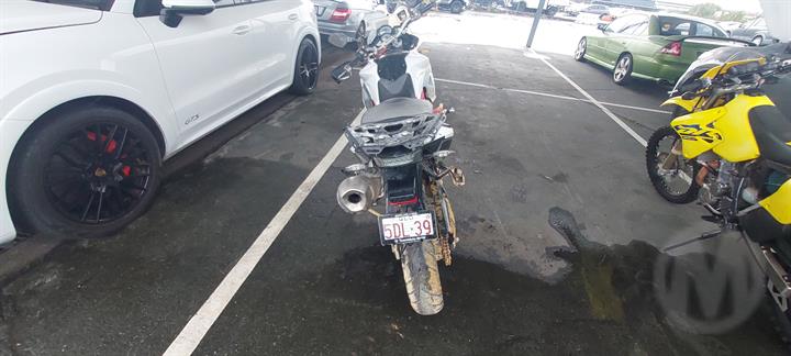 Lazy Owl Image
