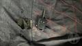 Lazy Owl Image