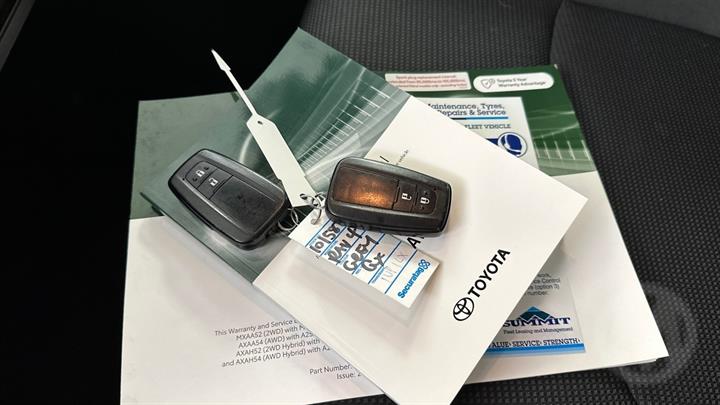 Lazy Owl Image