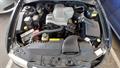Lazy Owl Image