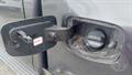 Lazy Owl Image