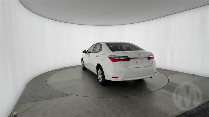 Lazy Owl Image