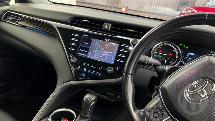 Lazy Owl Image
