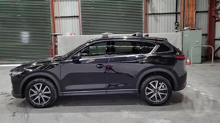 Lazy Owl Image