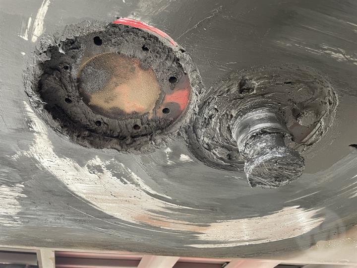 Lazy Owl Image