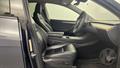 Lazy Owl Image