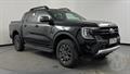 Lazy Owl Image