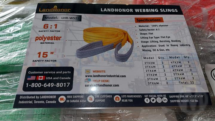 Lazy Owl Image