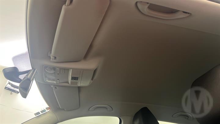 Lazy Owl Image