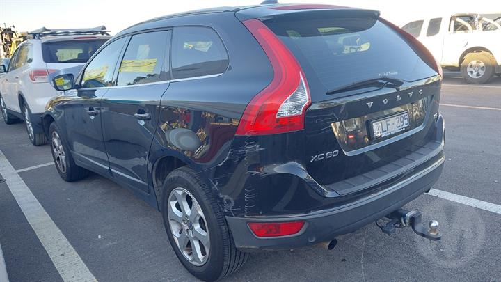 Lazy Owl Image